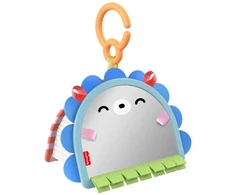 „Fisher-Price“ – „Balanced Beginnings“ 2 viename veidrodėlis (JHB45)