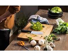 Fiskars - kietaašmenis Santoku peilis 16 cm