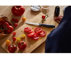 Fiskars peilis pomidorams, kietaašmenis, 11 cm