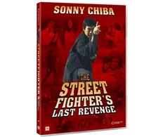 GATVĖS KOVOTOJAS – LAST REVENGE (Sonny Chiba)