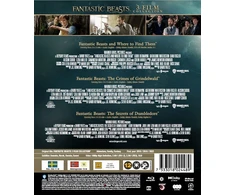 Harry Potter Fantastiniai gyvūnai: 3 filmų kolekcija