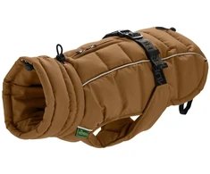 Hunter - Šuninis kailis Paxson Dachshund 45, karamelė - (203511)