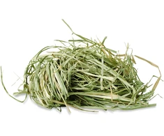Jr Farm - kalnų pievų šienas - 2,5kg -