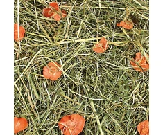 Jr Farm - kalnų pievų šienas su morkomis - 1,5kg