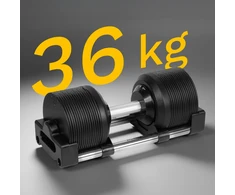 Ketaus reguliuojamo svorio automatinis hantelis, 36 kg, 1kg žingsniai, REBEL ACTIVE