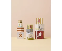 „Kids Concept“ – sudedami kubeliai MUMINAS (1001075)
