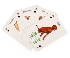 Kikkerland - Paws Play žaidimo kortos - (GG274)