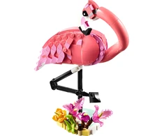 Klocki Kūrėjas 31170 Laukiniai gyvūnai: Rožinis flamingas