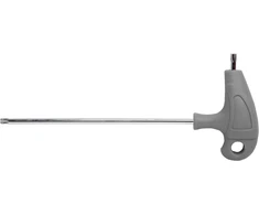 Klucz Torx T15 raktas, plastikine rankena, S2 Proline