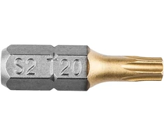 Koncówki Atsuktuvo antgaliai TX20 x 25 mm, 2 vnt.