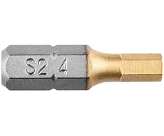 Koncówki HEX4.0 x 25 mm atsuktuvo antgaliai, 2 vnt.