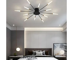 Lampa Fejerverkų sietynas LED lubinis šviestuvas, modernus svetainei, valgomajam, 12 W