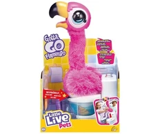 Little Maži gyvi flamingo augintiniai