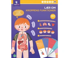 mierEdu – Magnetinė mokymosi dėžutė – Viskas apie kūną ir emocijas (danų kalba) – (ME097D)