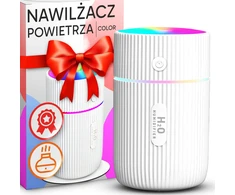 Mini automobilio oro drėkintuvas su aromatiniu difuzoriumi ir USB RGB naktine lempute - ER1165