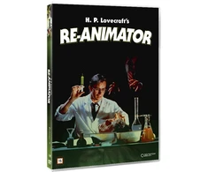Non Stop DVD animatorius RE