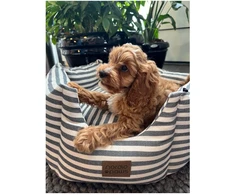 „Nordic Paws“ – „Bailey“ šuns guolis – pilkas – 65 x 65 x 25,5 cm