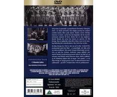 Palladium Mėlynieji berniukai (DVD)