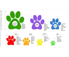 PawZ - guminiai šunų batai - XL - juodi - 12 vnt.