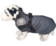 Peppy Buddies Energingi draugai - Šuns paltas su petnešomis 55cm