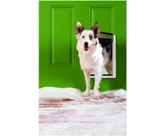 „Petsafe“ – ekstremalioms oro sąlygoms skirtos augintinių durys, M – (729849157958)