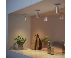 Lubinis šviestuvas SACKit - EXPO lubos - poliruotos