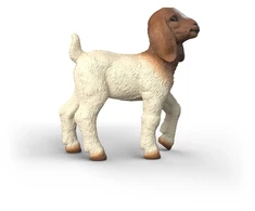 Schleich figūrėlė Būrų veislės ožiukas