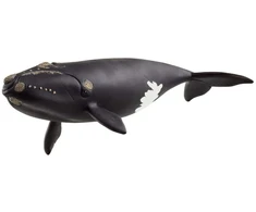 Schleich - Šiaurės Atlanto dešinysis banginis - (14878)