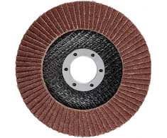 Ściernica Plokštelinis šlifavimo diskas 115 x 22,2 mm, P80