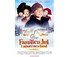 Šeimos Kalėdos: Elfų šalyje (DVD)
