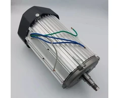 Dedra Silnik 800 W elektros variklis