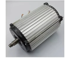 Dedra Silnik Elektrinis variklis