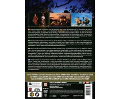 Skęstantys skaičiais DVD