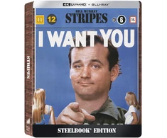 STRIPES riboto leidimo plieninė knyga