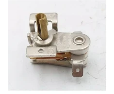 Dedra Termostatas 16a