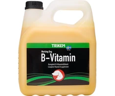 TRIKEM – B vitaminas 3L – (721.2023)