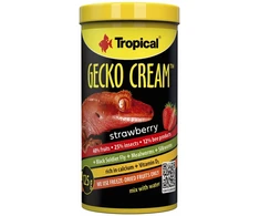 TROPICAL - Gecko kremas su braškių skoniu 100 ml - (260.4010)