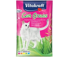 Vitakraft - kačių žolė 50 g, papildymas - (24027)