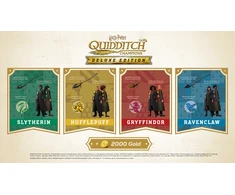Warner Bros Harry Potter: Quidditch Champions (Deluxe Edition) (Code in Box)