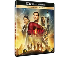 Warner Bros Shazam! Dievų įniršis
