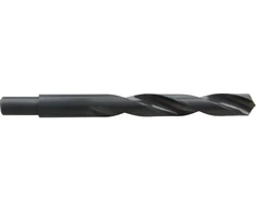 Wiertło Metalo grąžtas HSS DIN338, pjovimas 19,0 mm, proline