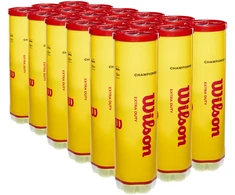Wilson - Championship Extra Duty 4T kamuoliukas