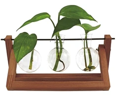 Winkee - Hydro Vases Blossom - Vaza