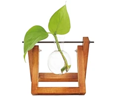 Winkee - Hydro Vases gėlių vaza