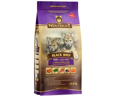 Wolfsblut - juodasis paukštis didelių veislių šuniukas - 12,5kg