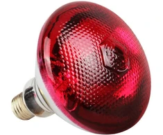 ATL ZD161 infraraudonųjų spindulių šildytuvo lemputė 175 W