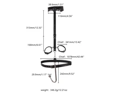 Analinis kabliukas su antrankiais ir burnos kamuoliuku Bondage Hook Set