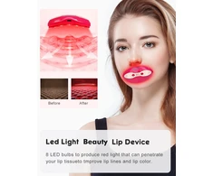 Fernida 2in1