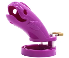 Skaistybės diržas, violetinis