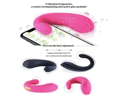 Vibratorius poroms su mobiliąja programėle Couples App Control